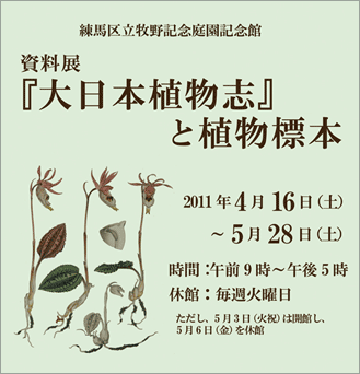 広告(表)