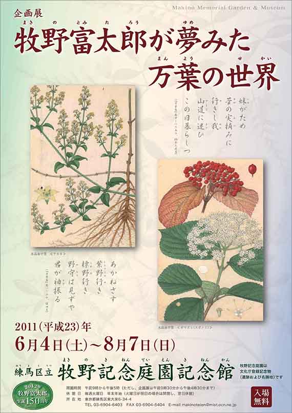 広告(表)