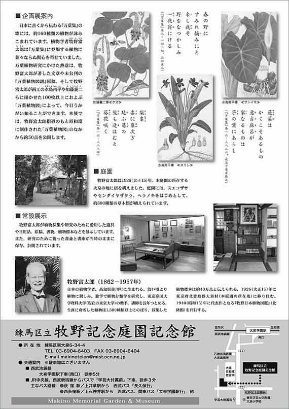 広告(裏)