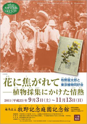 広告(表)