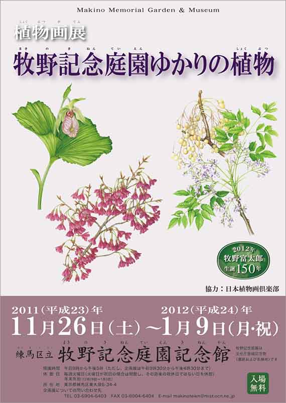 広告(表)