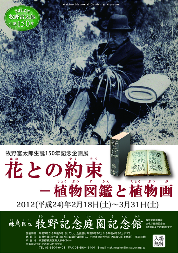 広告(表)