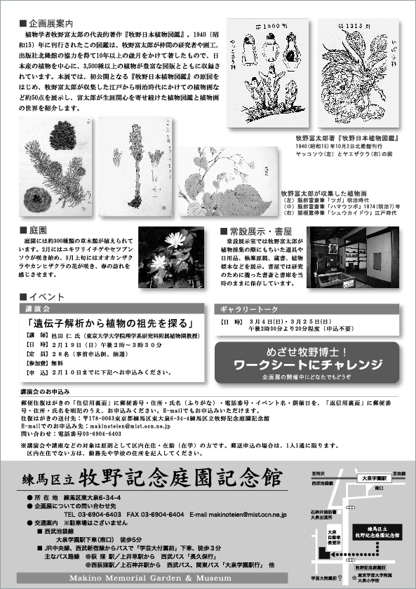 広告(裏)