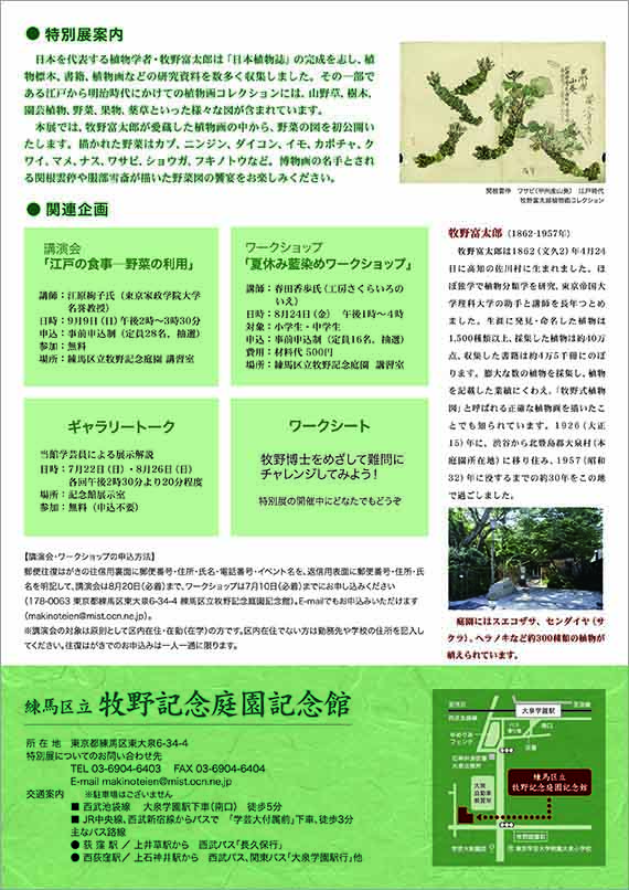 広告(裏)