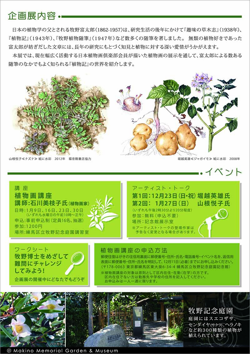 広告(裏)