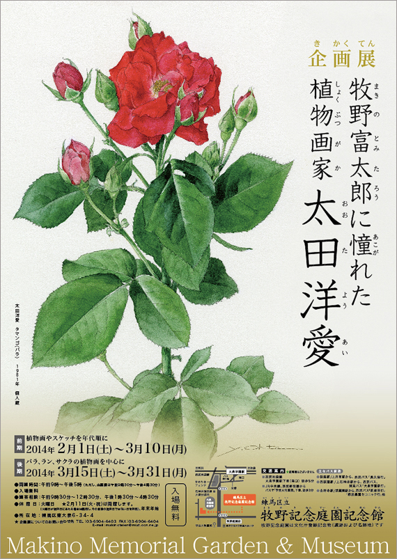 広告(表)
