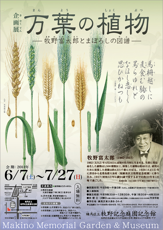 広告(表)