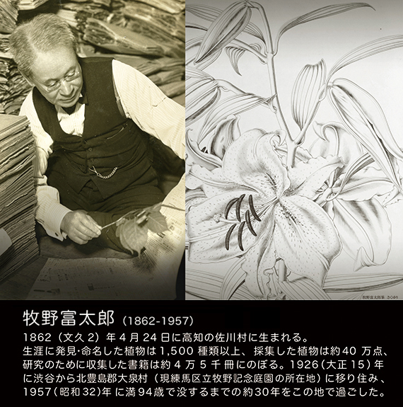 広告