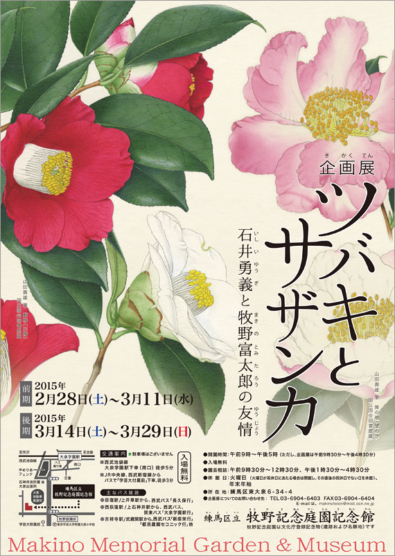 広告(表)