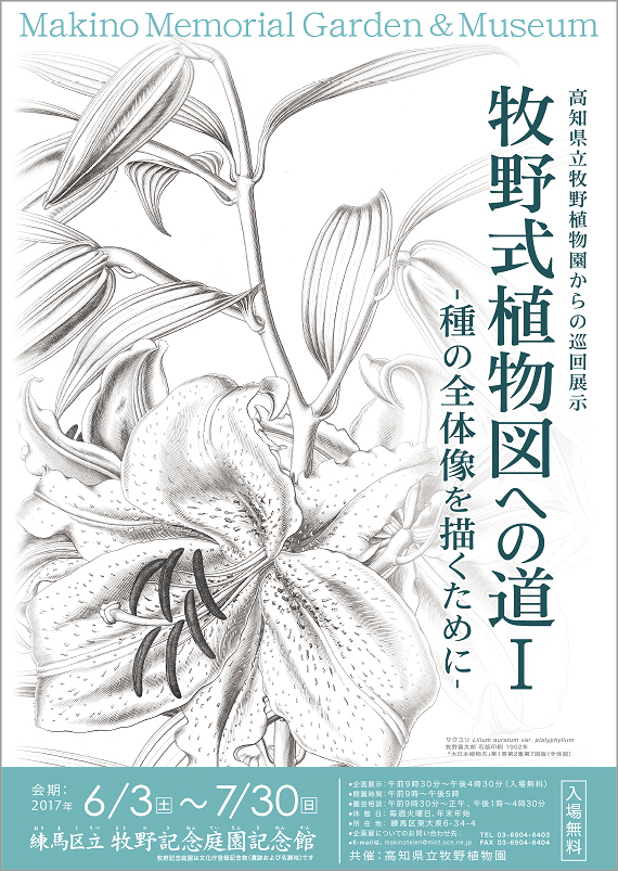 広告(表)