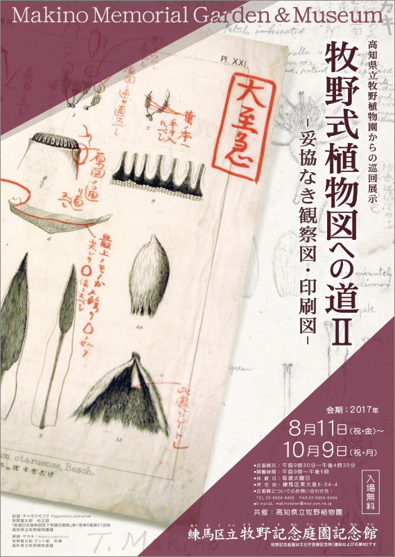 広告(表)