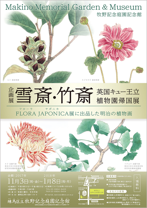 広告(表)