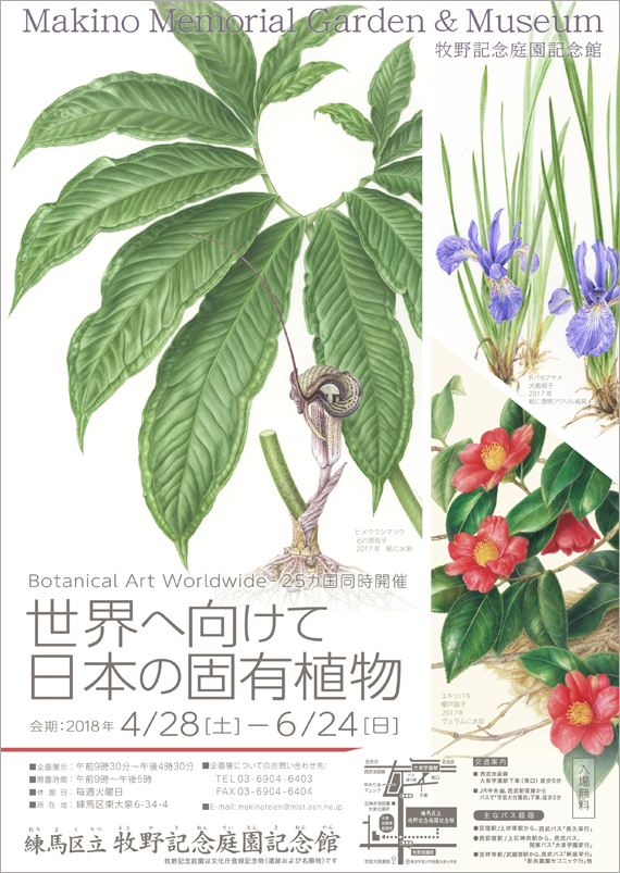 広告(表)
