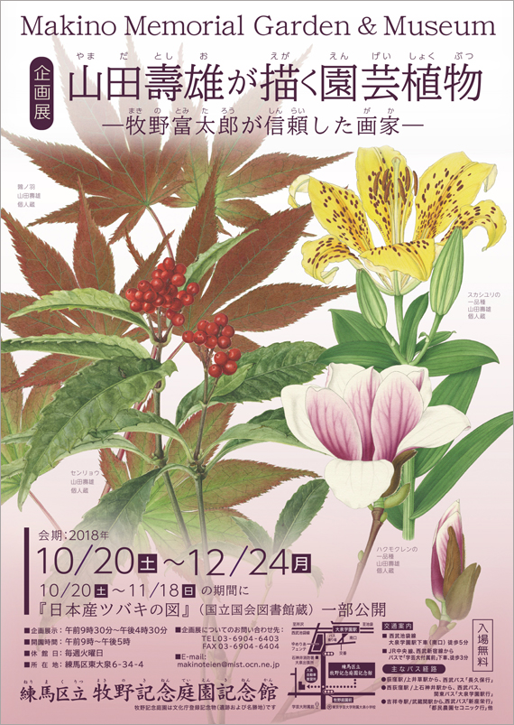 広告(表)