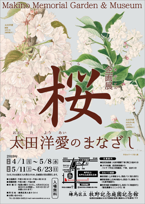 広告(表)