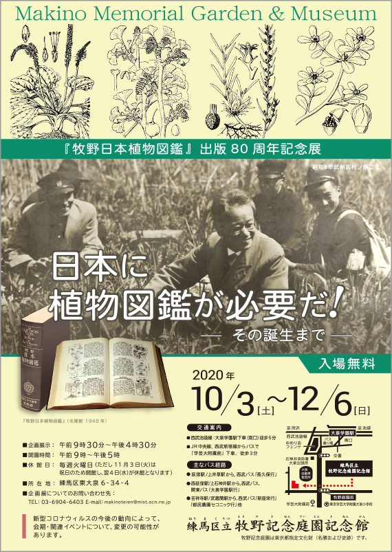 広告(表)