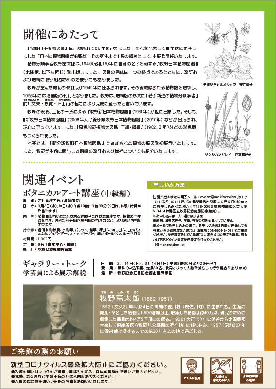 広告(裏)