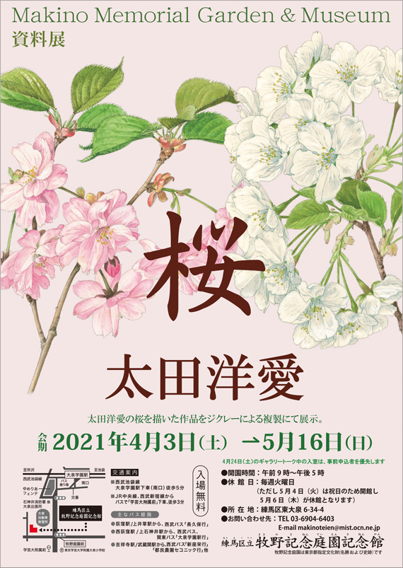広告(表)