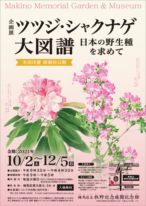 広告(表)