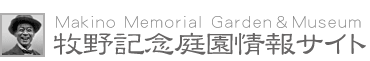 q뉀ɂ